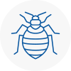 Bed Bug Extermination In Willerby
