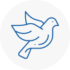 Bird Prevention Willerby