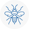 Willerby Hornet Nest Removals