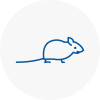 Mice Exterminators In Willerby