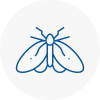 Moth Control Specialists In Willerby