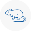 Rat Control Willerby