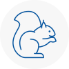 Willerby Rodent Removals