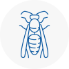 Willerby Wasp Nest Removal